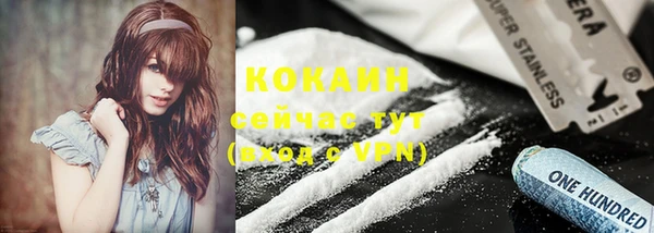 крисы Абаза