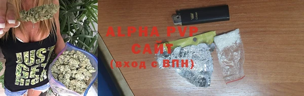 крисы Абаза