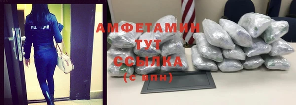 крисы Абаза