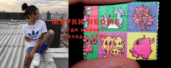 крисы Абаза