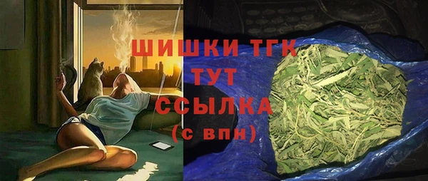 крисы Абаза