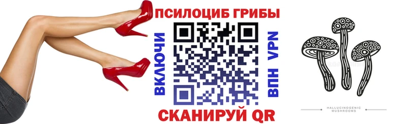 где продают   Сусуман  Псилоцибиновые грибы Psilocybe 